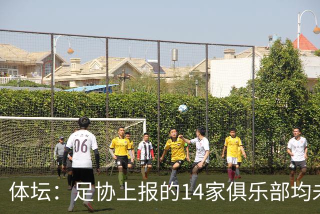 体坛：足协上报的14家俱乐部均未获亚冠许可证